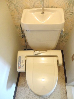 コーラルプリンセス1 その他1