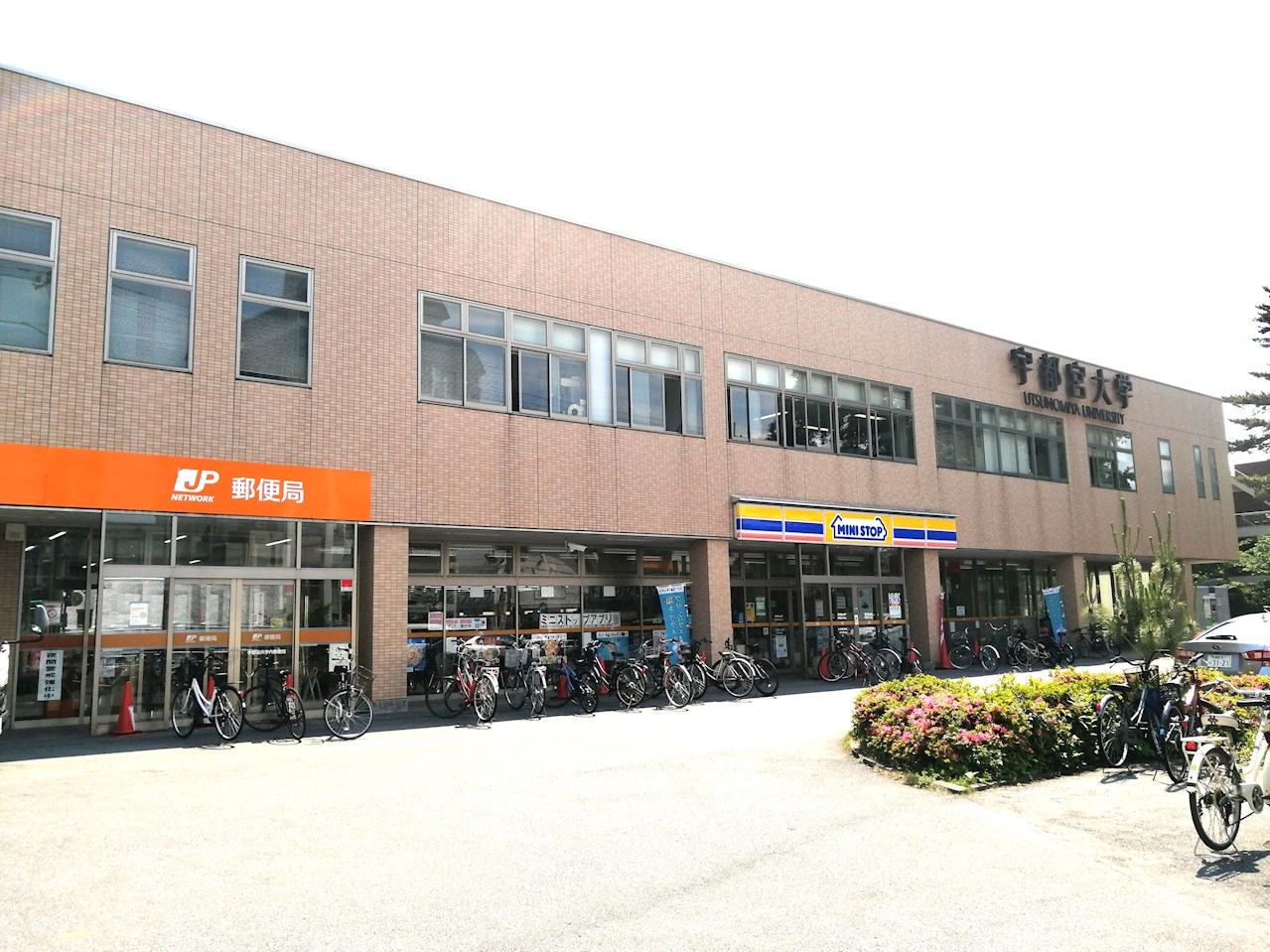 バンビーノ A 周辺画像5