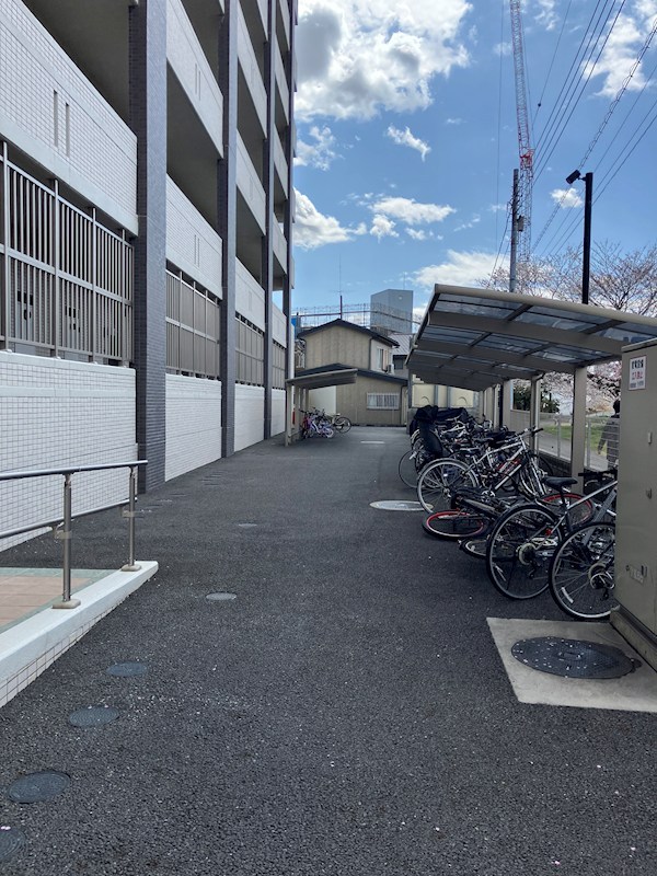 グラース　リオ その他12