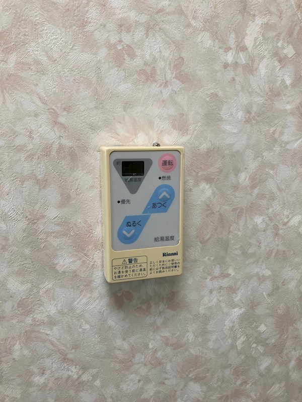 アマリエンバード その他8