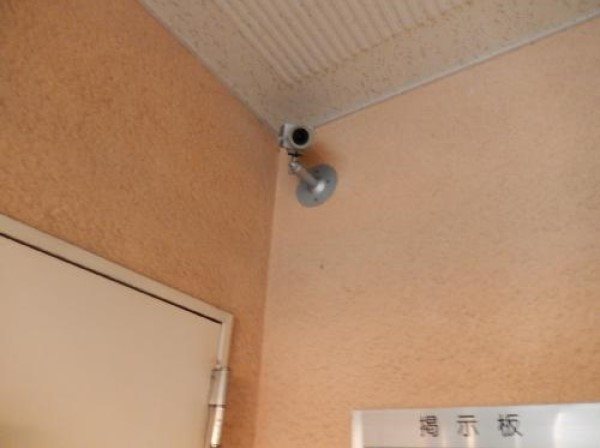 ネオニシキ セキュリティ
