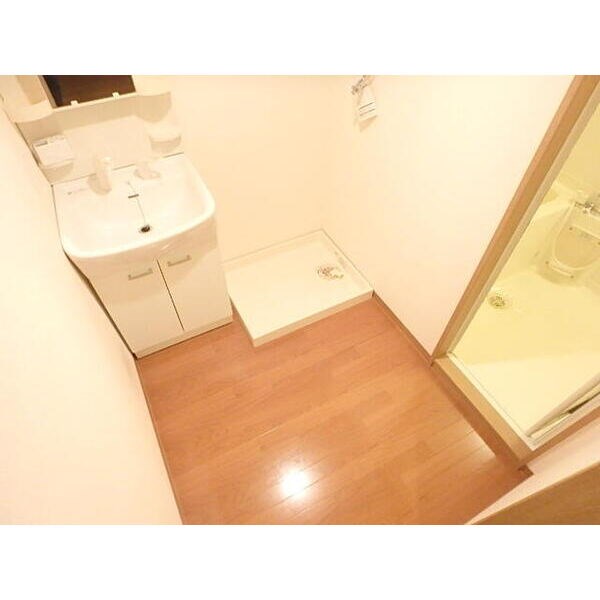 GREEN FOREST その他2