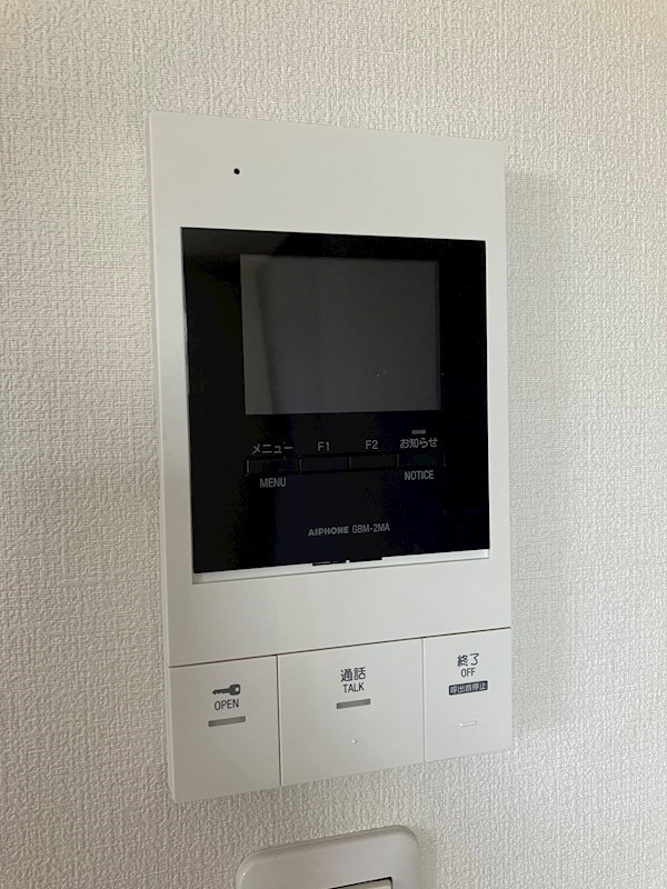 Monstera　(モンステラ) その他3