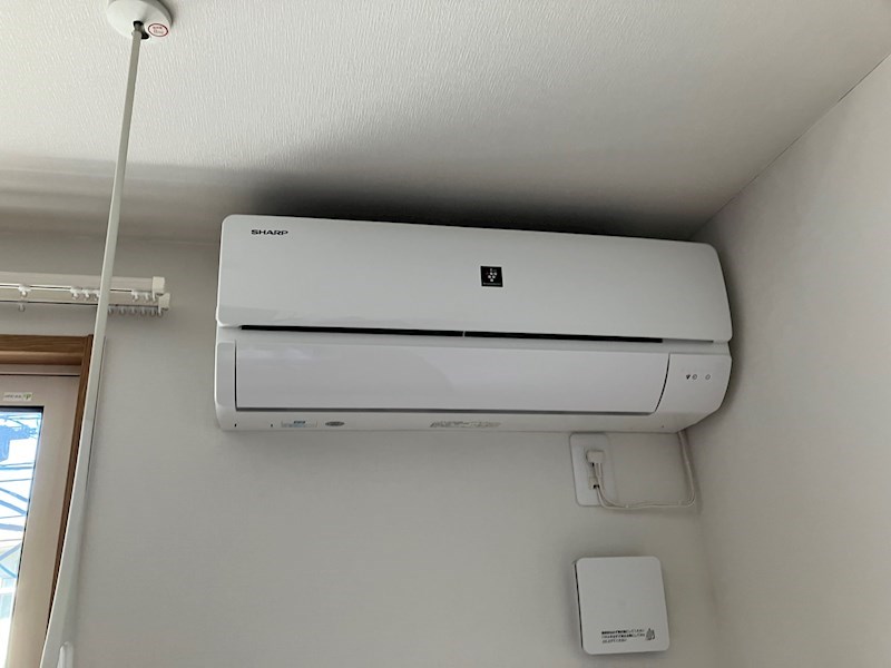 Monstera　(モンステラ) その他4