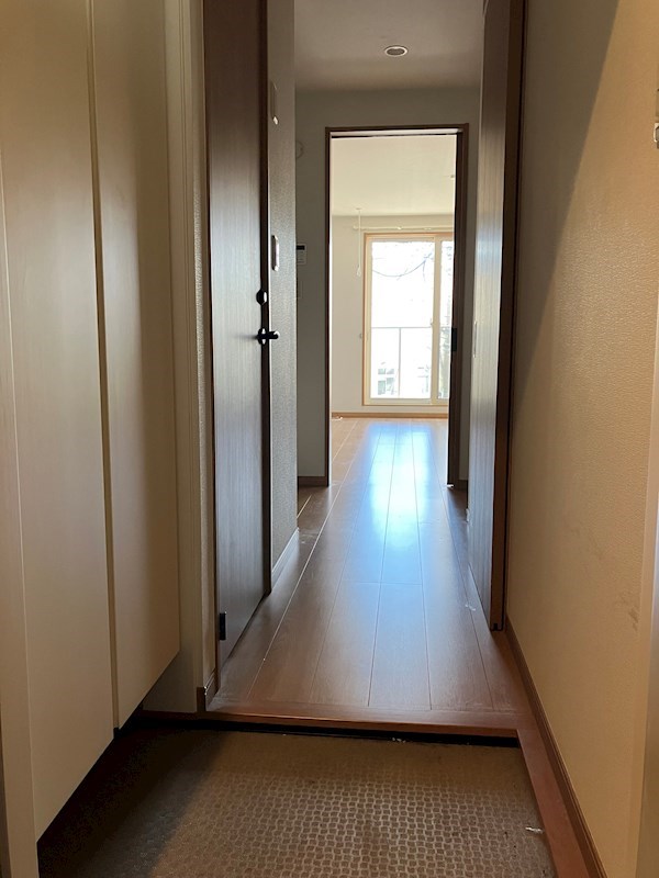 Monstera　(モンステラ) 玄関