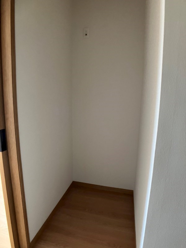 Monstera　(モンステラ) その他12