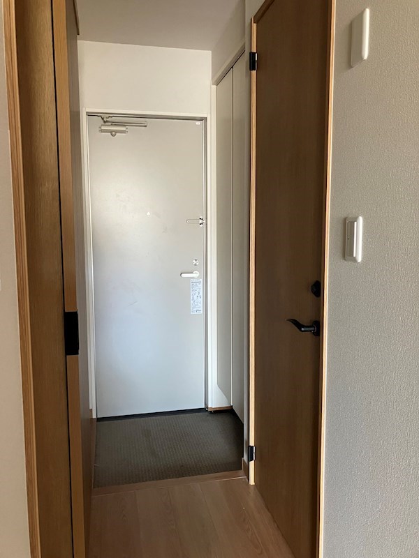 Monstera　(モンステラ) その他13