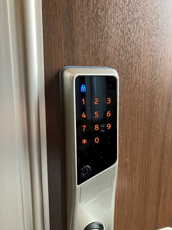 Monstera　(モンステラ) その他15