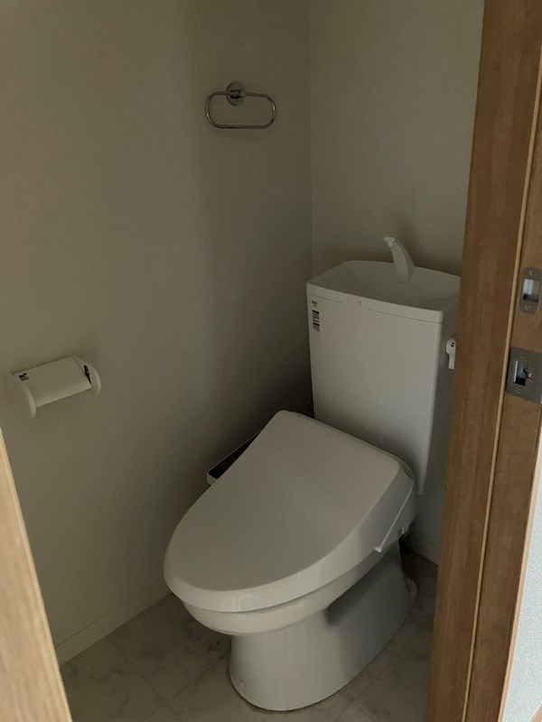 Monstera　(モンステラ) その他2