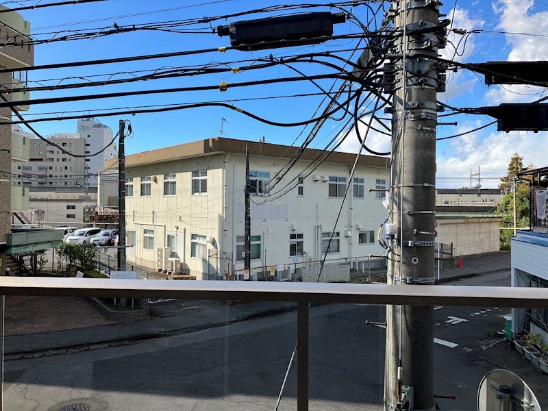 Monstera　(モンステラ) その他7