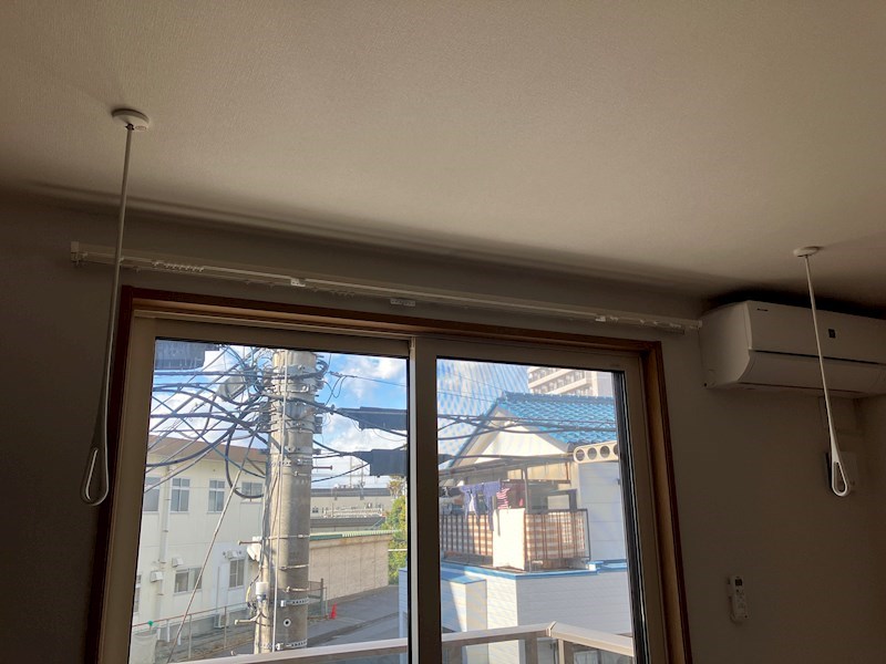 Monstera　(モンステラ) その他8