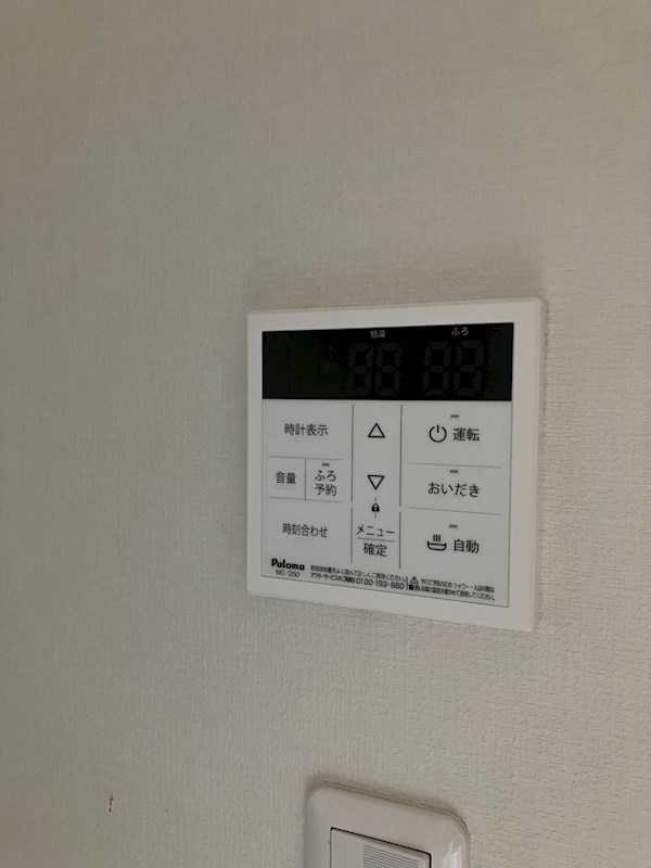 Monstera　(モンステラ) その他10