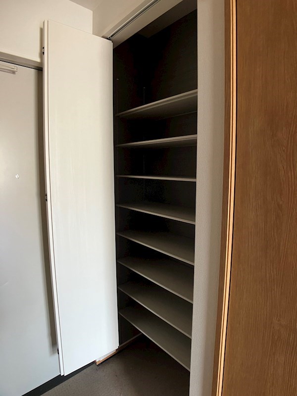 Monstera　(モンステラ) その他14