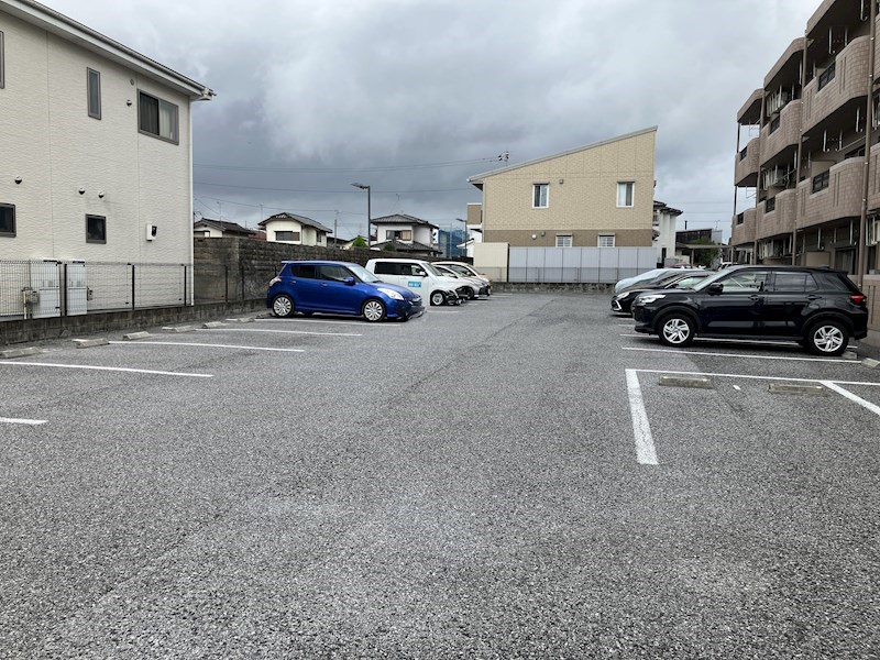 Y&amp;amp;Mシルキー その他7