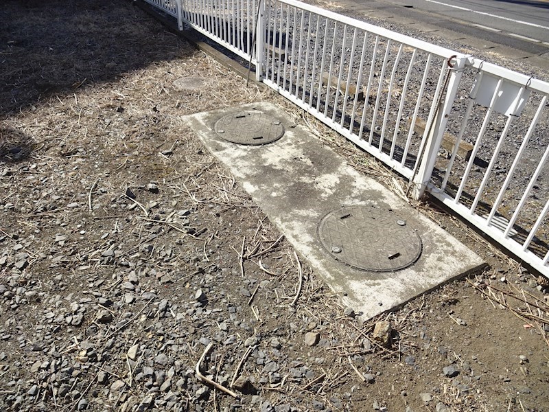 ホワイトバーチ その他2