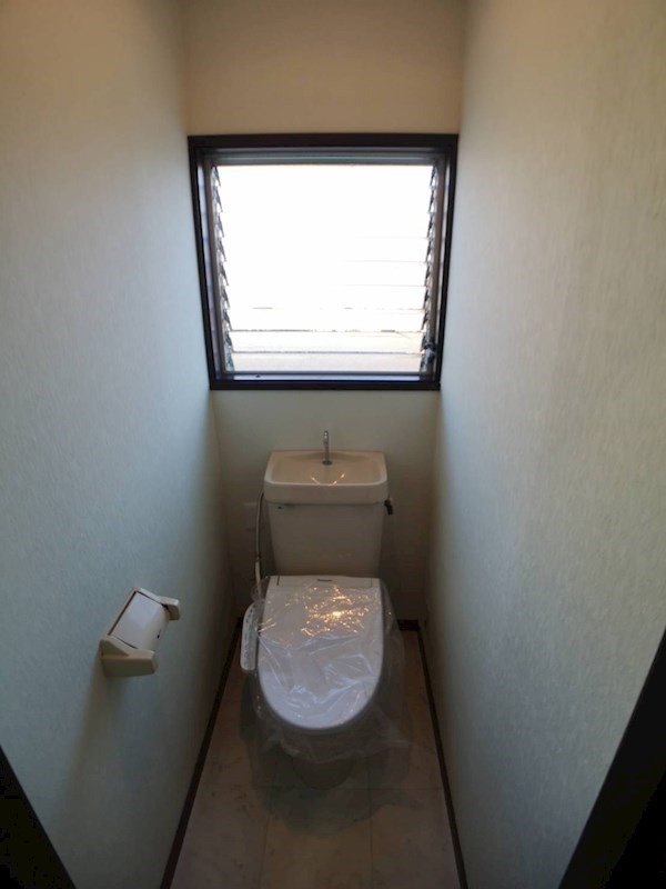 ホワイトバーチ その他5