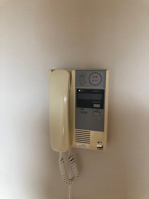 LOTUS MARSH元今泉 その他3