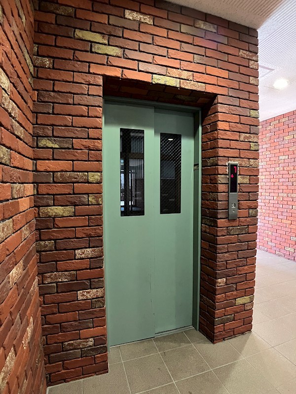 Forest　Wind その他12