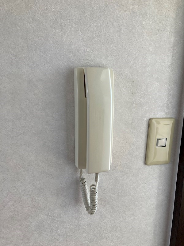 T，House その他4