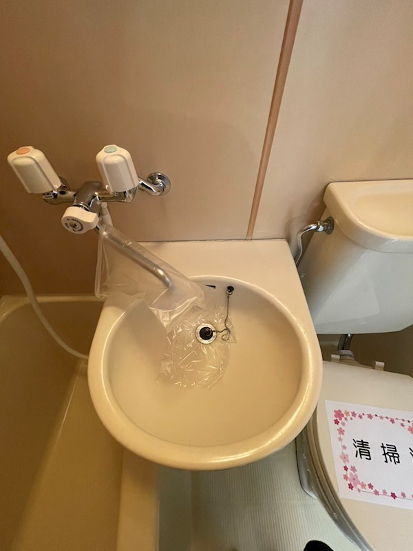 クレマチス その他4