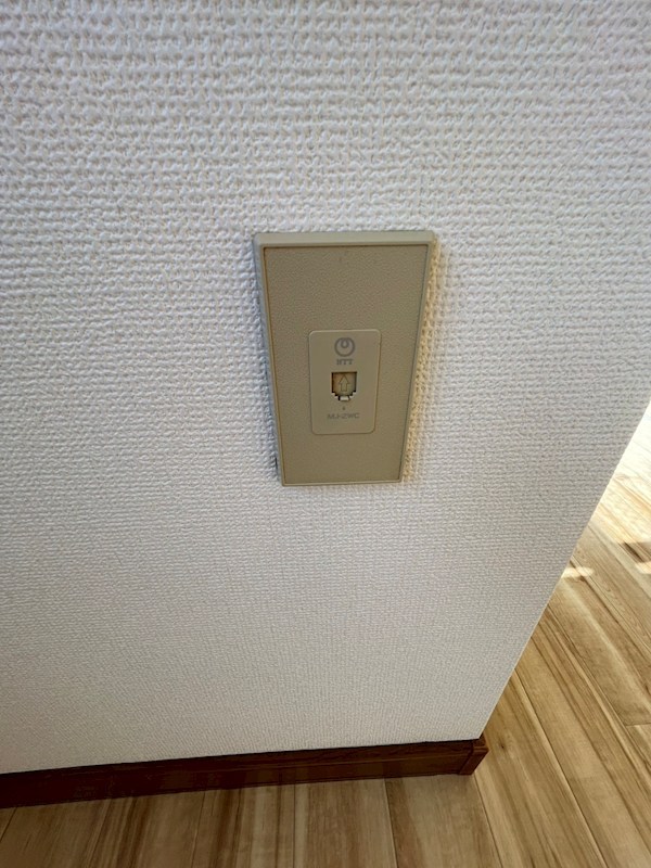 クレマチス その他8