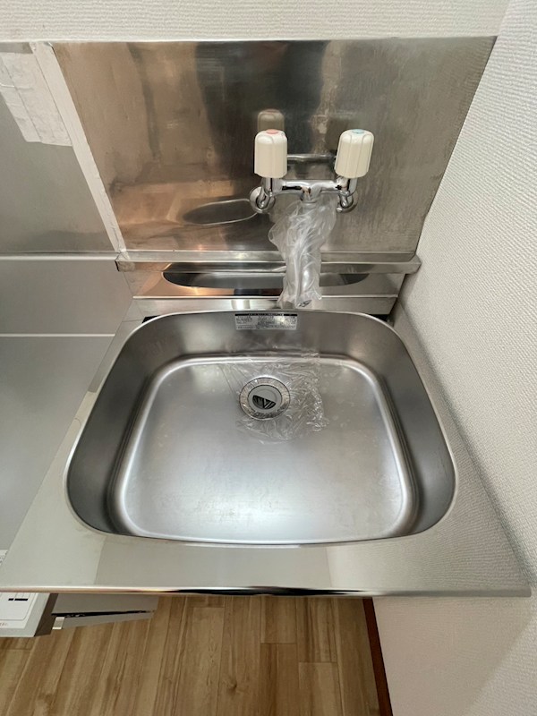 クレマチス その他11