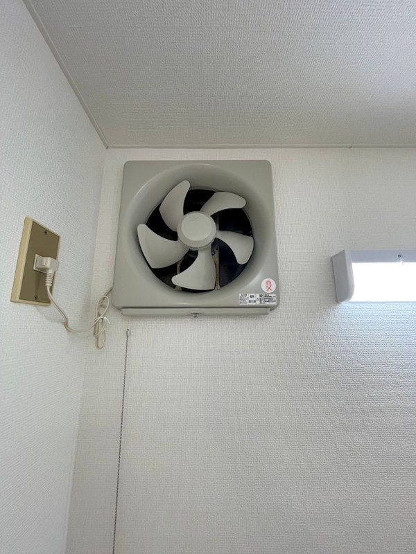 クレマチス その他13