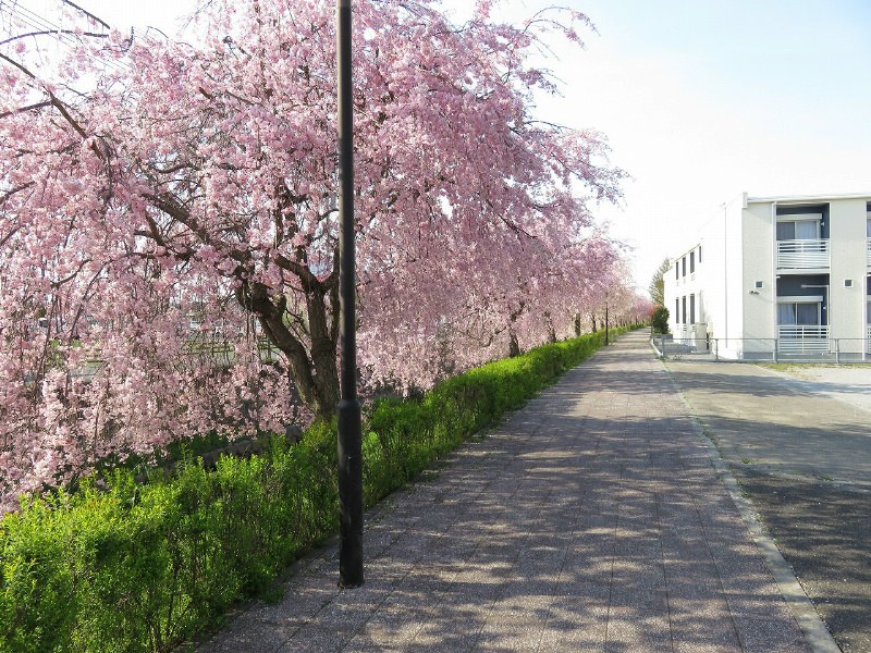 メゾンクマクラ その他外観3