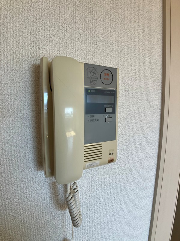 LOTUS MARSH元今泉 その他3