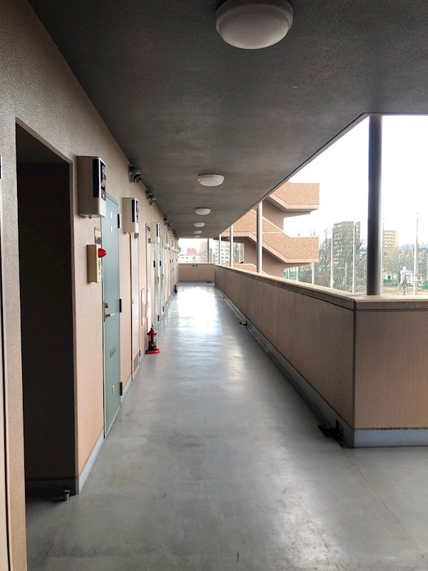 LOTUS MARSH元今泉 その他8