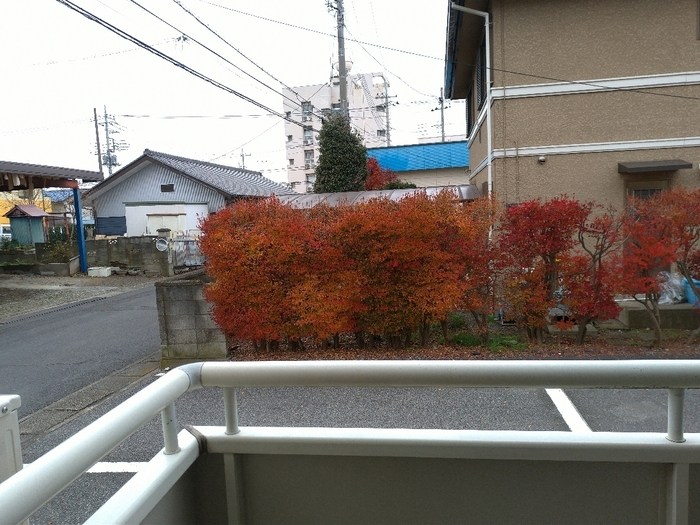 ガーデンハイツ   その他6