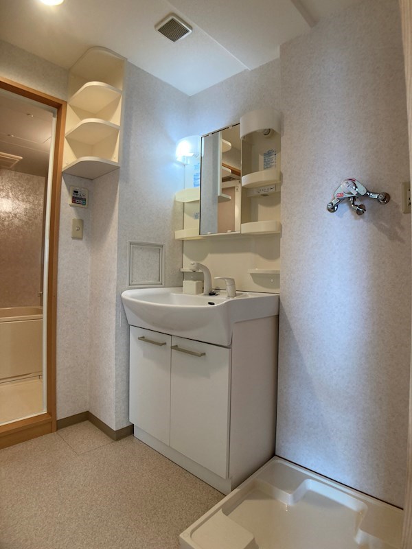 ビュー雷神Ⅱ その他2