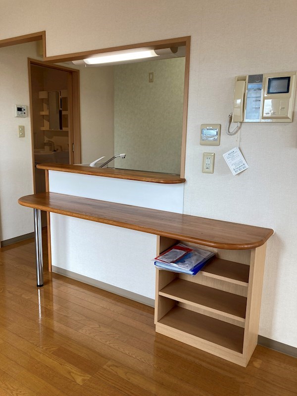 ビュー雷神Ⅱ その他13