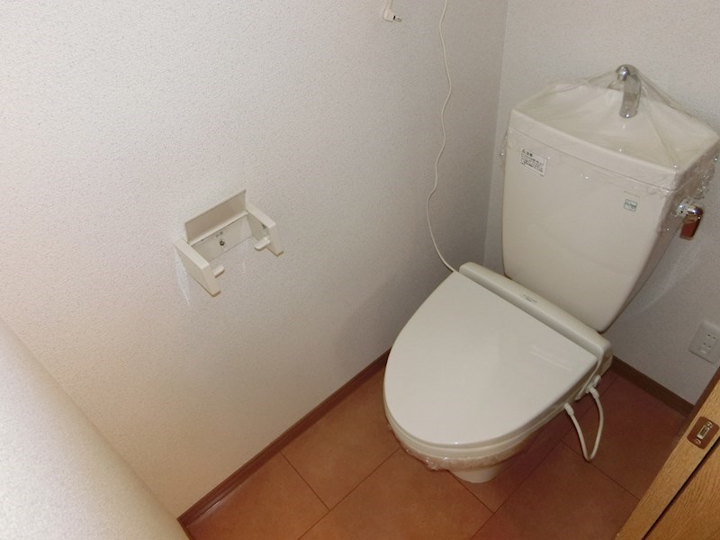 ブルージュエル   その他4