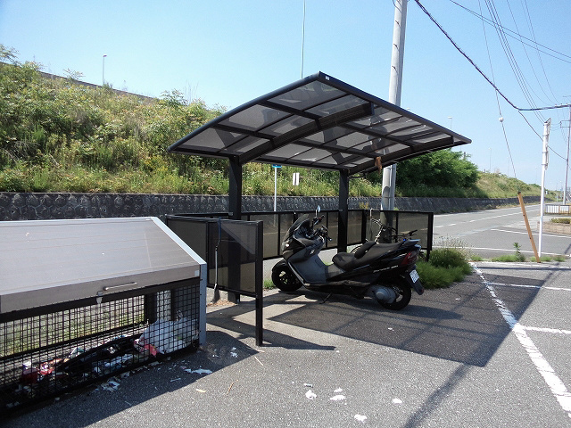 ブルージュエル   その他2