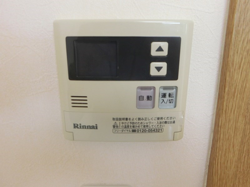 ブルージュエル   その他6