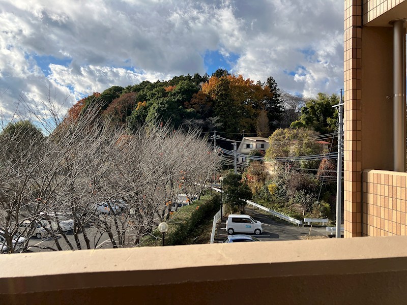 ガウディウムサカモトⅡ その他6