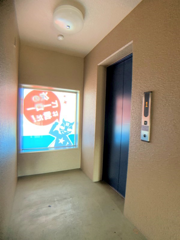 ガウディウムサカモト その他15