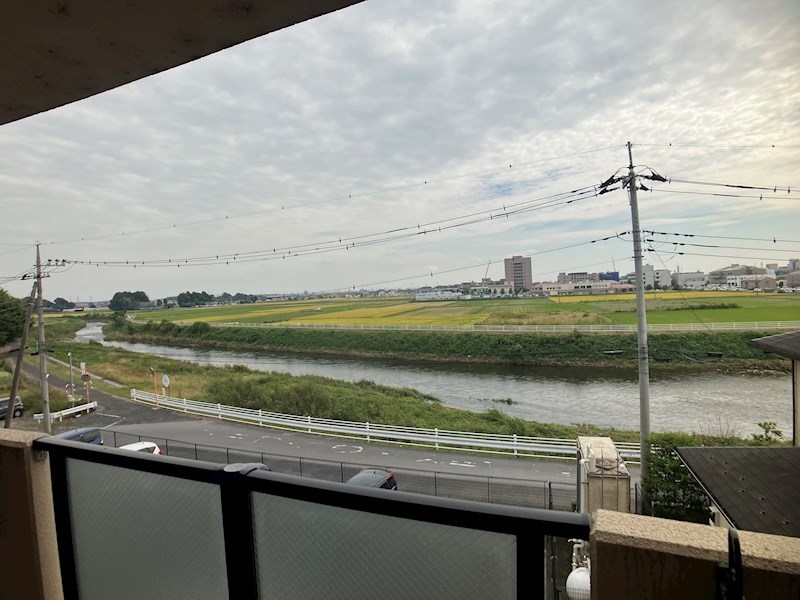 ガウディウムサカモト その他7