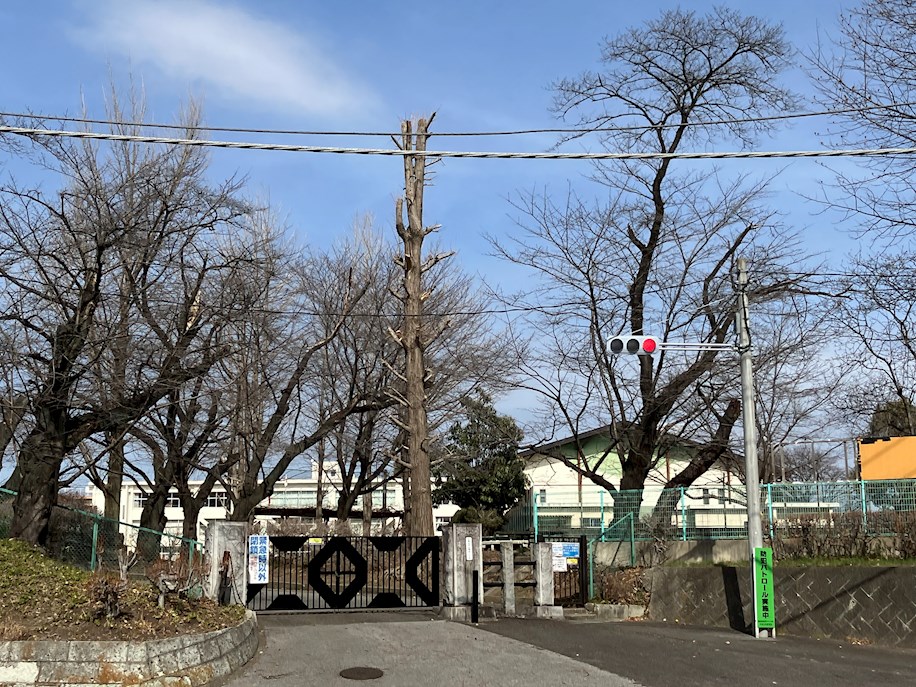 サンティールマンション  周辺画像5