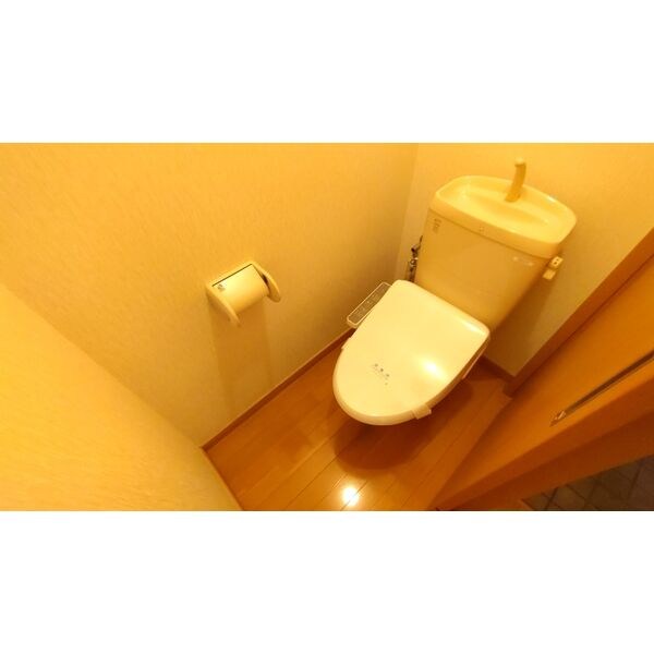 グリーンシャトリエⅡ その他2