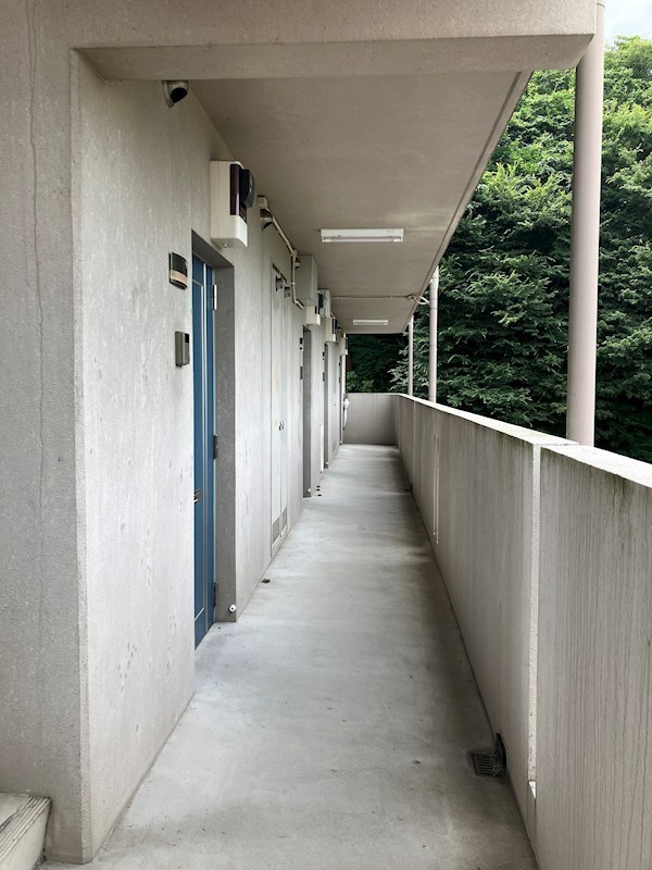 グリーンシャトリエⅡ その他6