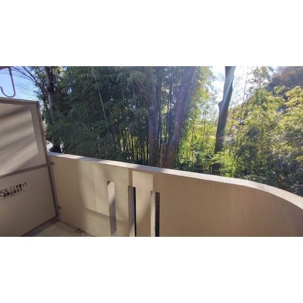 グリーンシャトリエⅡ ベランダ