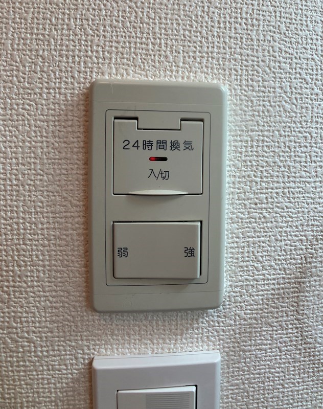 LOTUS MARSH元今泉 その他