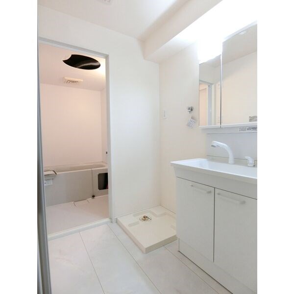 ルミライズ その他2