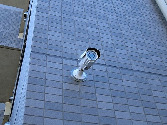 ルミライズ その他10