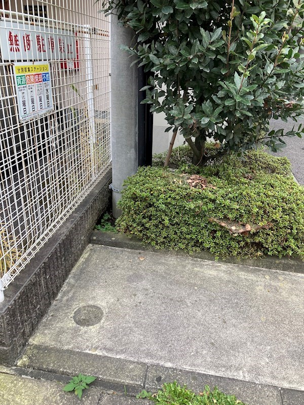 S-FORT宇都宮 その他17