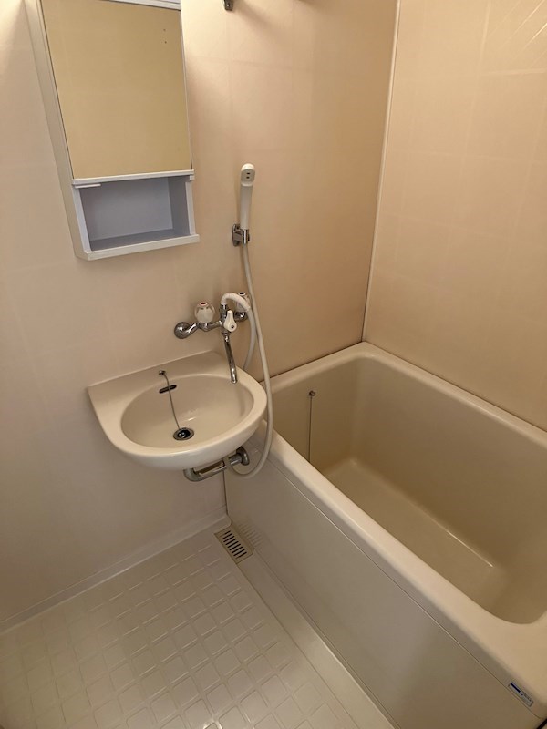 エール・ド・シャトーⅠ 風呂画像