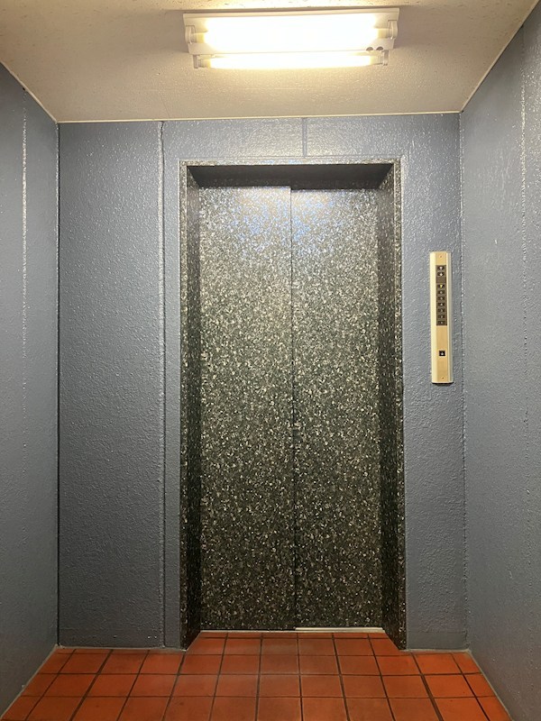 イステートハイツ中戸祭 その他12