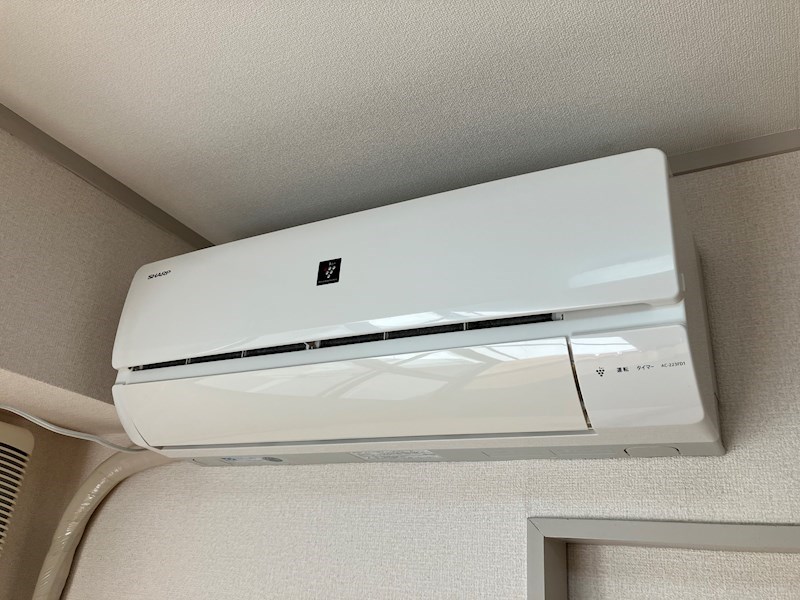 プラトー星 その他3